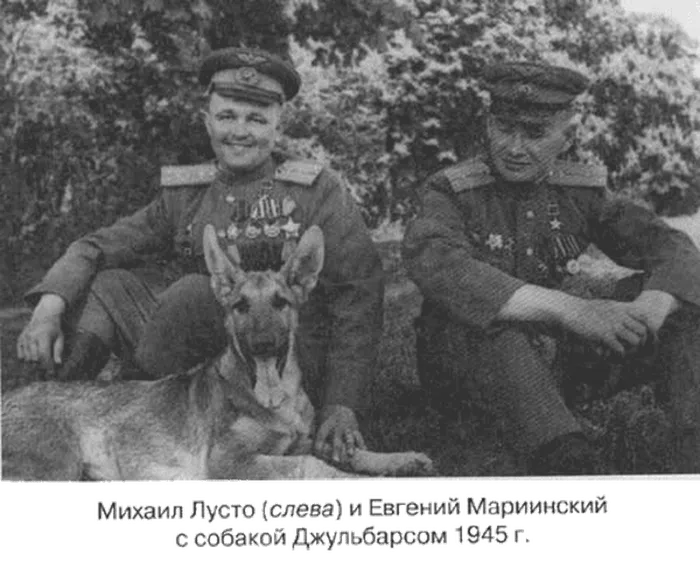 Немецкая овчарка Джульбарс — единственная собака, награжденная медалью «За боевые заслуги»
